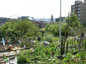 A rooftop community garden in Seattle. Image Credit: Joe Mabel (CC by SA-3.0)