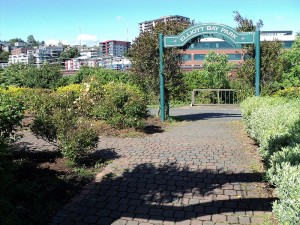 The New campus hopes to take advantage of scenic views of Elliott Bay and Centennial Park. Image Credit: Marmaduke Percy (CC by SA-2.0)
